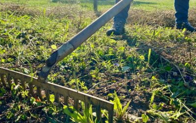 How to rake your way into the future of presales (part 1)