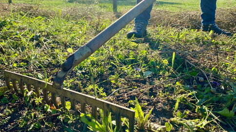 How to rake your way into the future of presales (part 1)